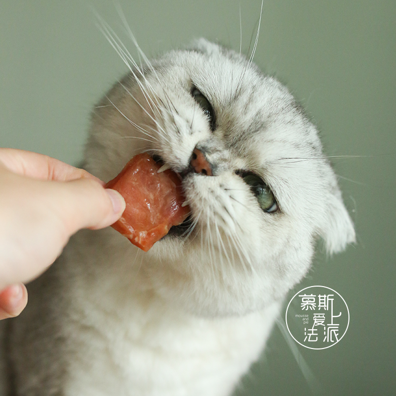 慕斯爱上法派 yummy吆咪肉肉君鸡鸭肉三文鱼金枪鱼肉干猫狗零食 - 图1