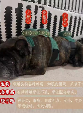 宠物艾灸包猫狗专用无烟灸盒