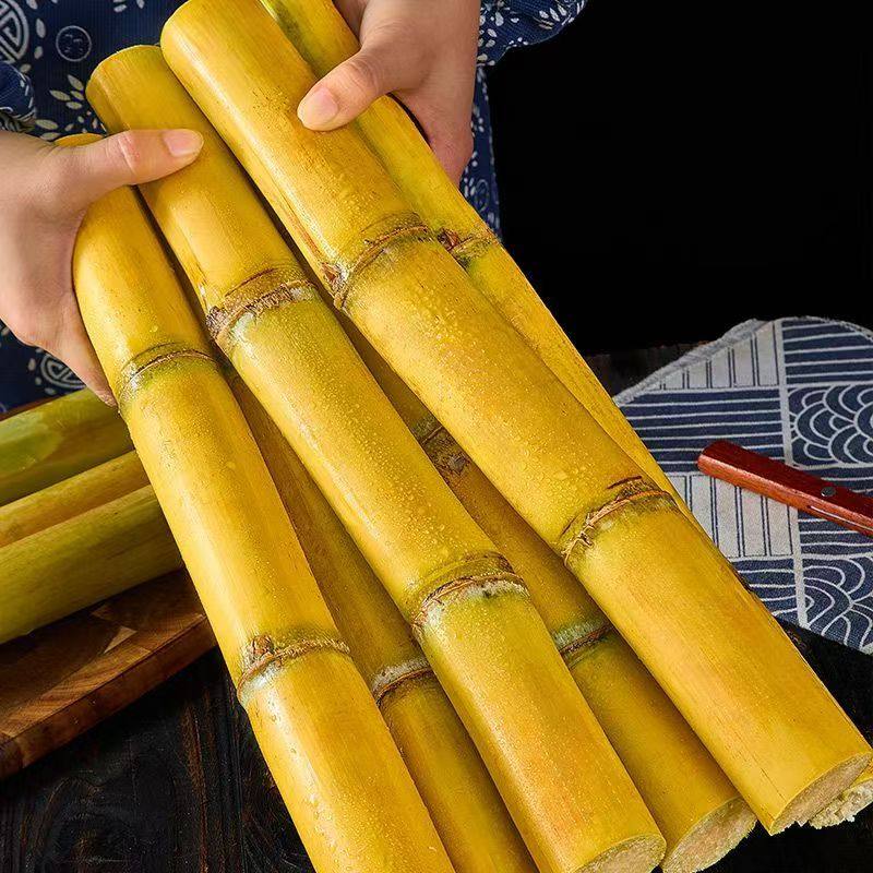 云南黄金甘蔗新鲜现砍当季水果黄皮甘蔗脆甜多汁彩箱甘蔗新鲜批发,淘宝优惠券,粉丝福利购,淘宝优惠卷