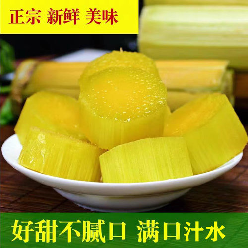 正宗云南黄金脆皮甘蔗新鲜10斤 整根黄皮易去皮现砍甘蔗批发甜杆 - 图1