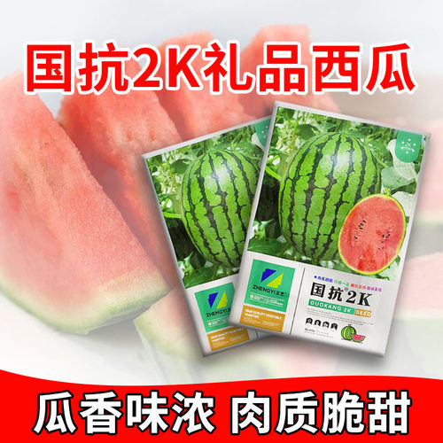 正品国抗2K西瓜种子礼品西瓜糖达14耐病高产基地用红小玉礼品西瓜 - 图2