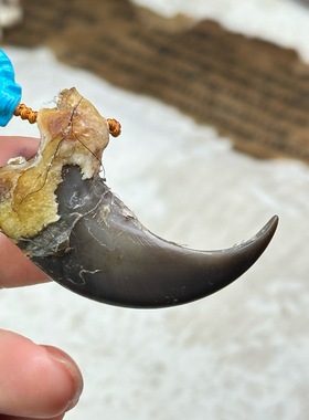 纯银动物爪子包银套爪子熊勾子鹰爪子钩子银套防裂保护银套吊坠