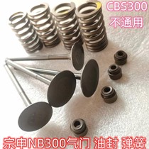 The constant ship Kwieth AJ1 Pawn of the Polar Pirate Wave Speed annihil 1 Zong NB300 Valve Valve Spring Oil Seal