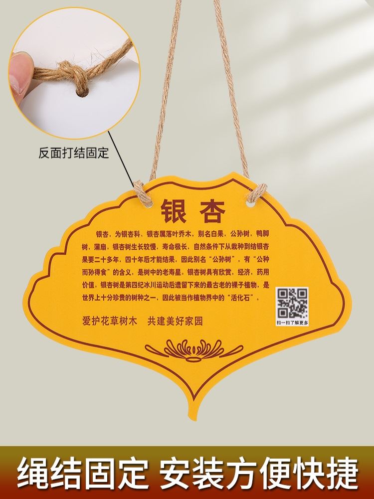 树牌挂牌学校公园不锈钢插地牌子植物绿化信息牌铭牌树木介绍标识 - 图1