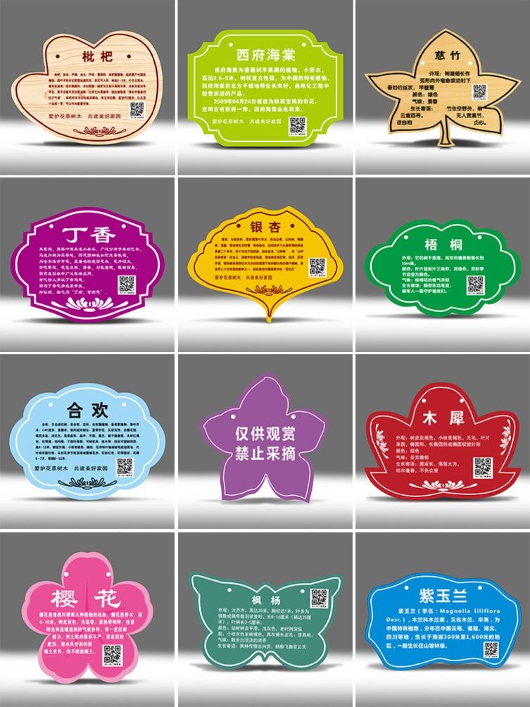 树牌挂牌学校公园不锈钢插地牌子植物绿化信息牌铭牌树木介绍标识 - 图2