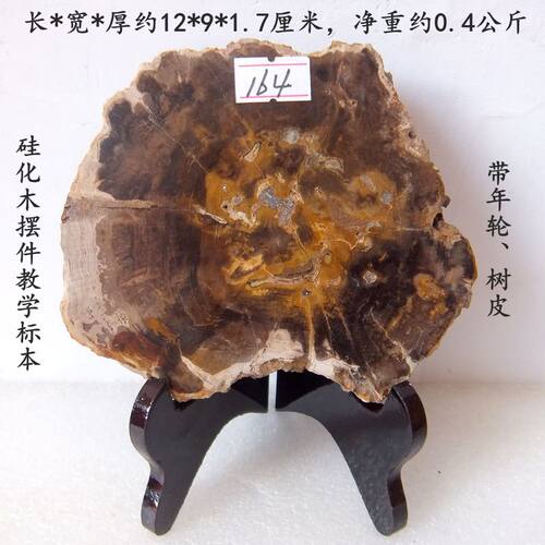 天然树化玉化石摆放烟灰缸茶托镇纸雷击木带年轮古生物标本9999 - 图0