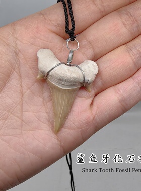 精美鲨鱼牙化石吊坠礼物饰品