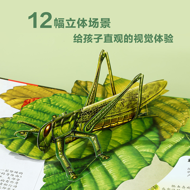 昆虫立体书 乐乐趣儿童3d立体翻翻书3-6-8-10岁以上青少年科普百科全书科学动物早教绘本图鉴小学生课外读物植物海洋恐龙太空书