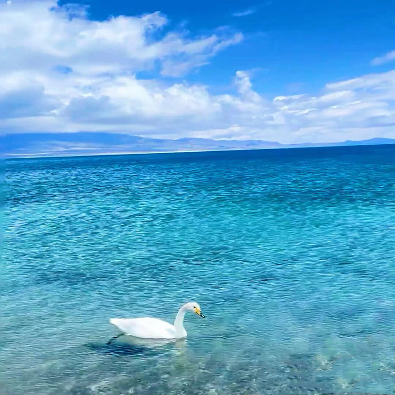 新疆旅游北疆可可托海喀禾魔鬼城赛湖那拉提库尔德宁独山子8日途 - 图1