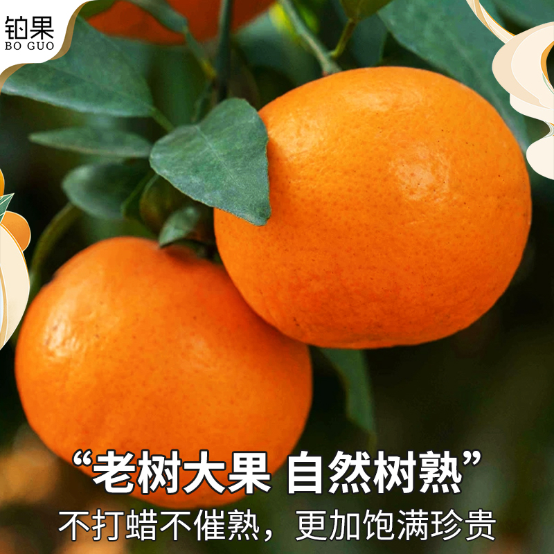 精品 正宗广西武鸣沃柑10斤新鲜橘子水果一级蜜柑桔当季整箱包邮9