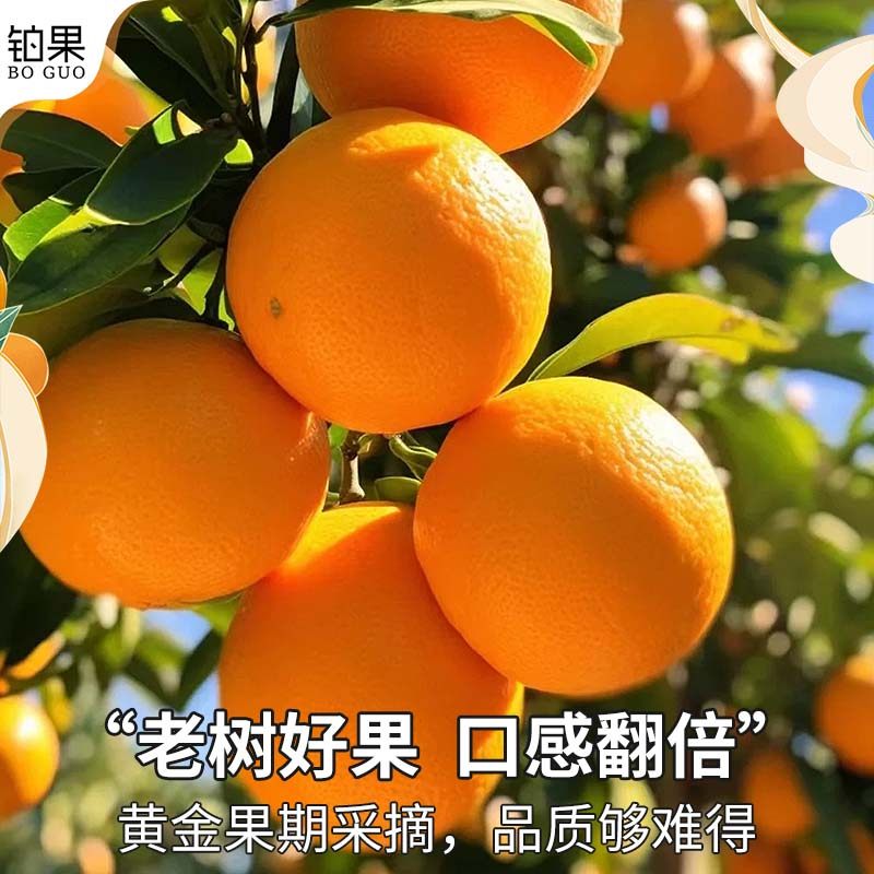 顺丰湖南正宗麻阳冰糖橙当季新鲜水果现采20斤手剥甜橙整箱包邮甜,淘宝优惠券,粉丝福利购,淘宝优惠卷
