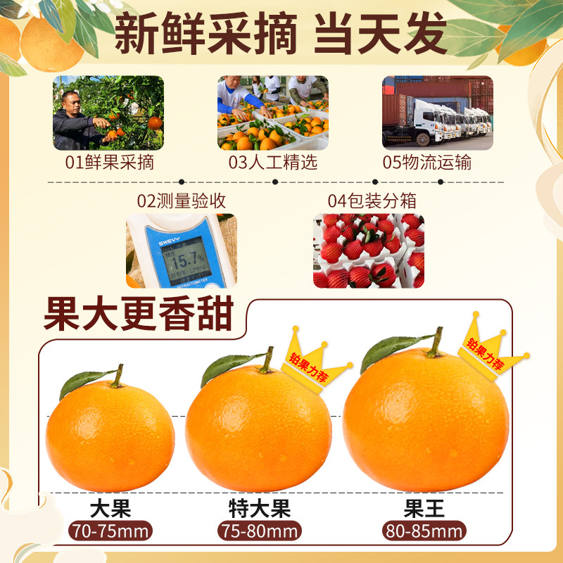 顺丰四川爱媛38号果冻橙10斤新鲜水果橙子礼盒当季整箱大果包邮甜,淘宝优惠券,粉丝福利购,淘宝优惠卷