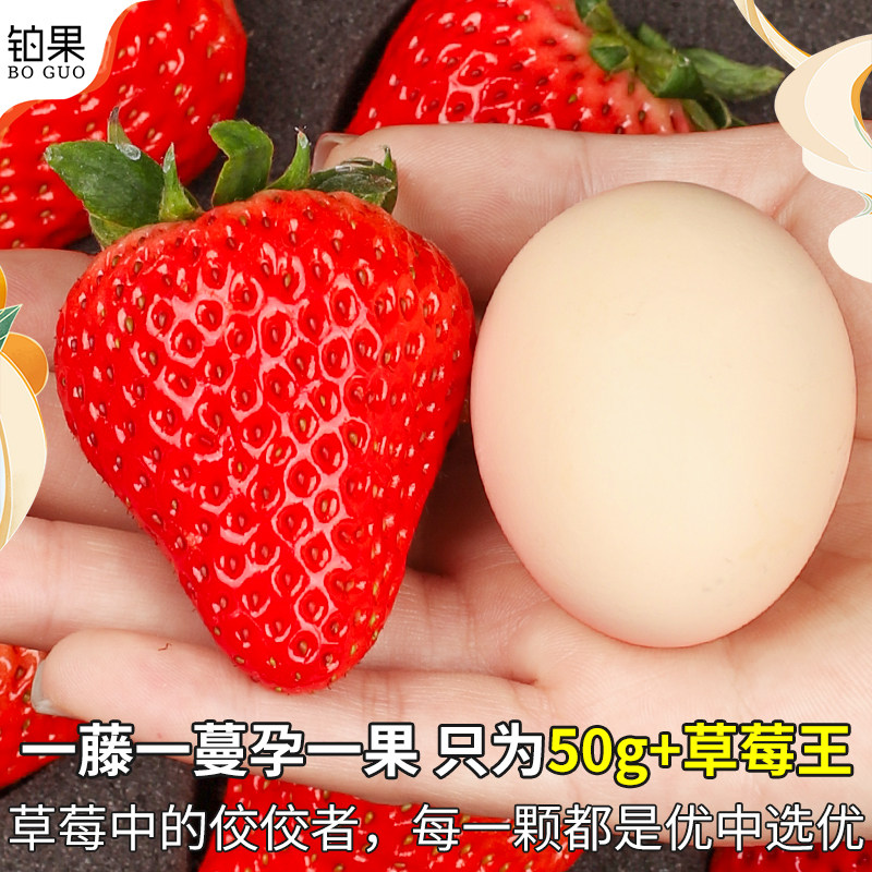 顺丰空运丹东99草莓新鲜水果当季红颜奶油九九整箱大草莓礼盒包邮