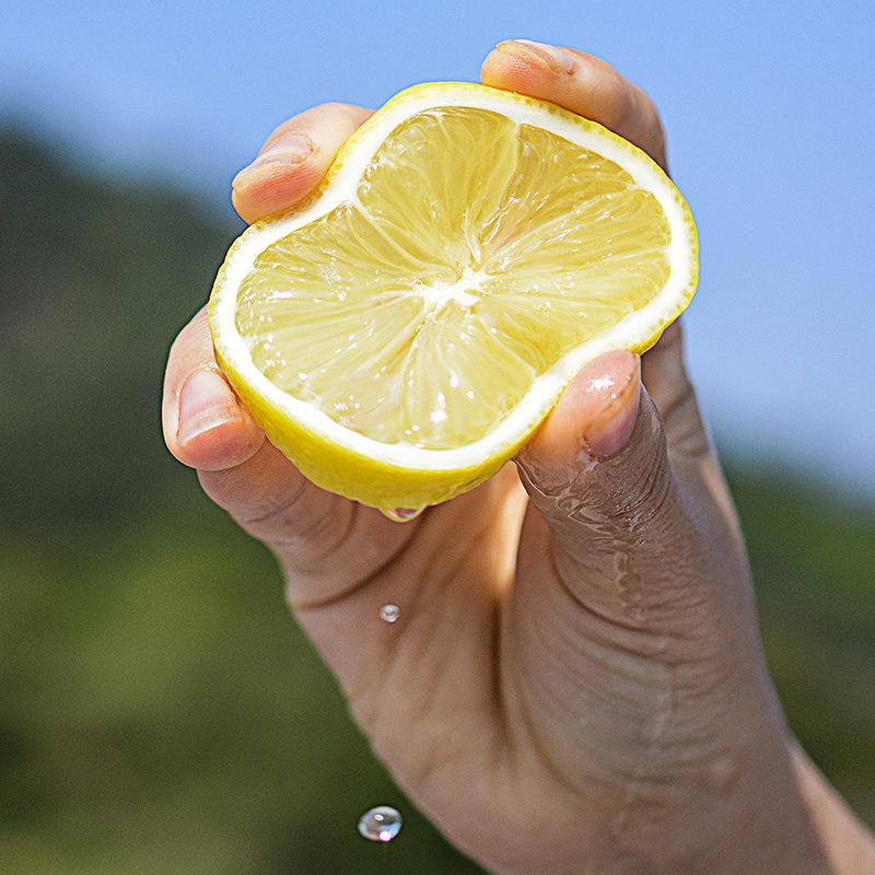 高端品种5斤南非进口黄柠檬10香水 铂果柠檬