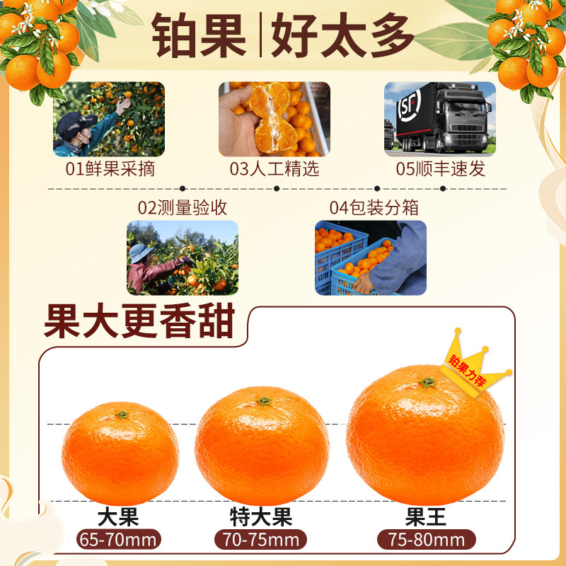 顺丰10斤正宗临海涌泉蜜桔当季水果橘子新鲜无籽薄皮柑橘整箱包邮