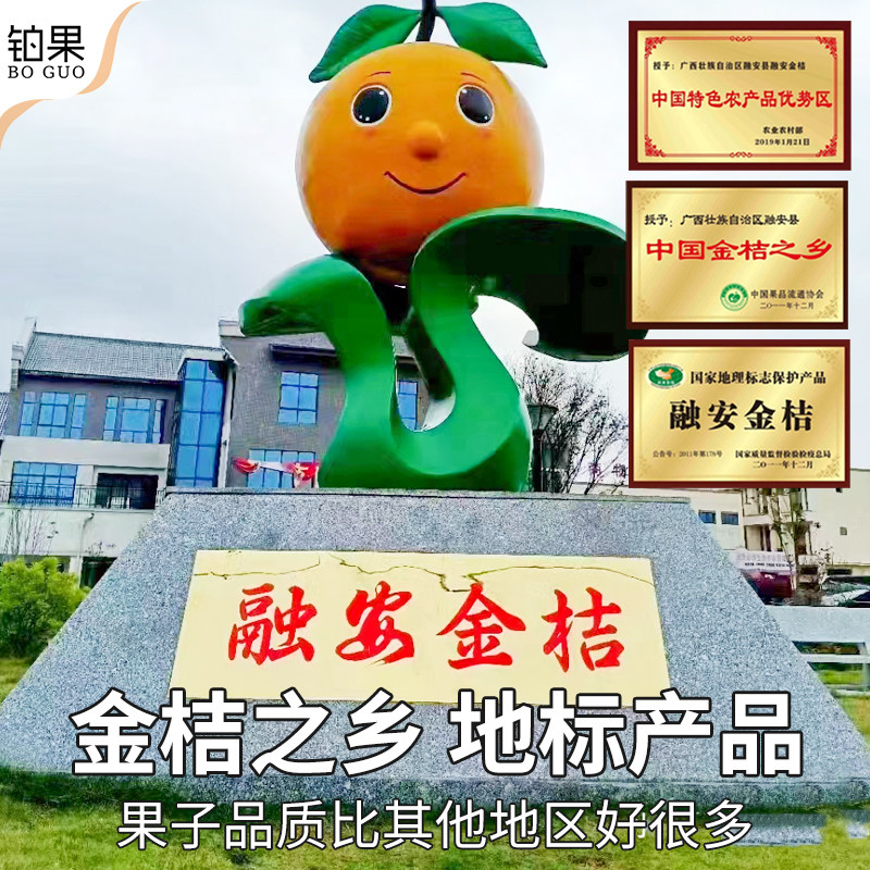 顺丰礼盒 5斤融安脆蜜金桔正宗官方旗舰店新鲜水果橘子柑整箱包邮,淘宝优惠券,粉丝福利购,淘宝优惠卷