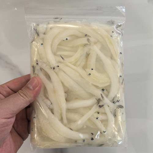 查干湖开江大银鱼250g淡水鱼新鲜银鱼水产冷冻面条鱼白饭鱼辅食 - 图3
