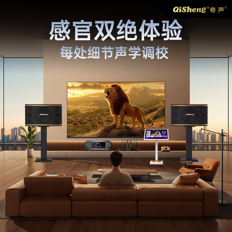 Home KTV audio set complete karaoke song request