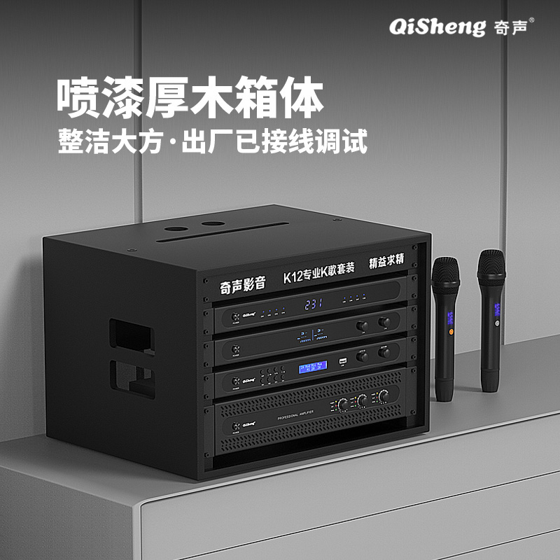 Qisheng Family KTV Audio Karaoke Set