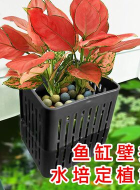鱼缸水族箱上养花顶部种花定植篮种植盆筐盒绿萝铜钱草白薯红薯花