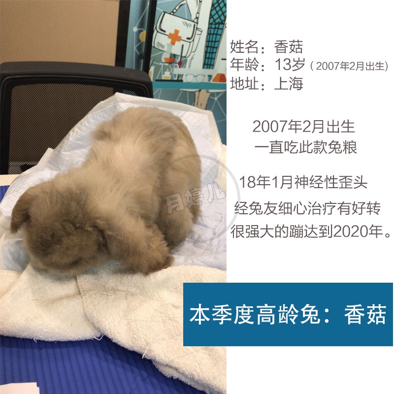 包邮幼兔兔粮5斤肠胃宠物兔粮兔子饲料苜蓿提摩西营养苜蓿