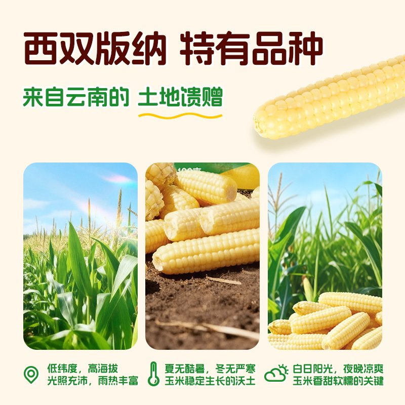 【尝鲜】爷爷的农场香糯拇指小玉米非转基因宝宝拇指玉米宝宝辅食