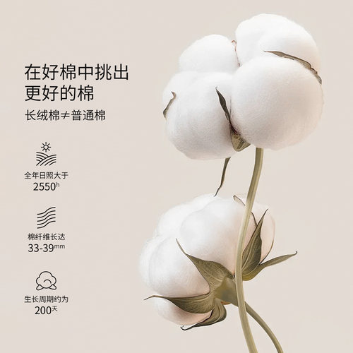 佳丽斯60支长绒棉纯棉四件套全棉2026新款床单主卧室轻奢四季通用 - 图1