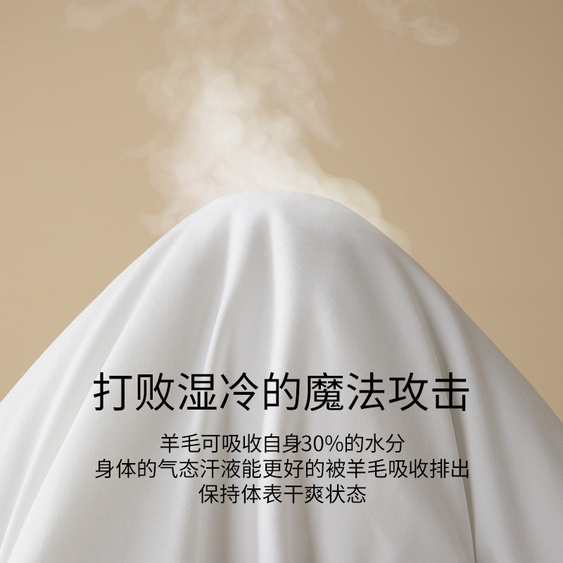 佳丽斯澳洲进口羊毛冬被子加厚保暖家用美利奴羊毛被芯旗舰店正品,淘宝优惠券,粉丝福利购,淘宝优惠卷