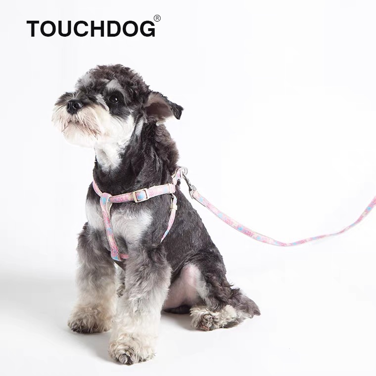 清货Touchdog它它遛狗牵引绳胸背项圈中小型犬泰迪狗链子通用宠 - 图2