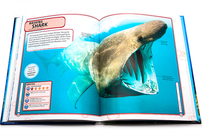 DK视觉百科全书 鲨鱼和其他致命的海洋生物 Sharks and Other Deadly Ocean Creatures 英文原版 图解科普百科读物 精装 - 图0