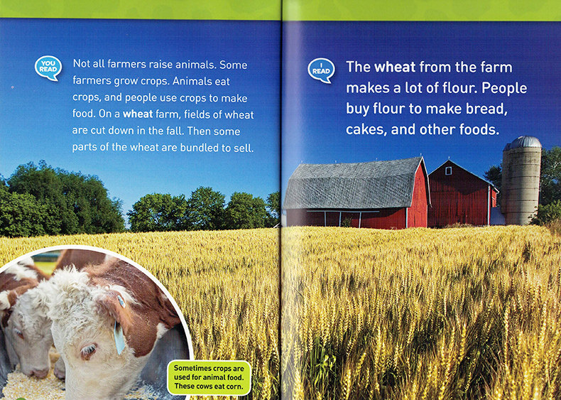 进口英文原版正版绘本 National Geographic Kids Readers:Farm Animals农场动物 国家地理分级阅读初阶 Level1低幼儿童英语启蒙