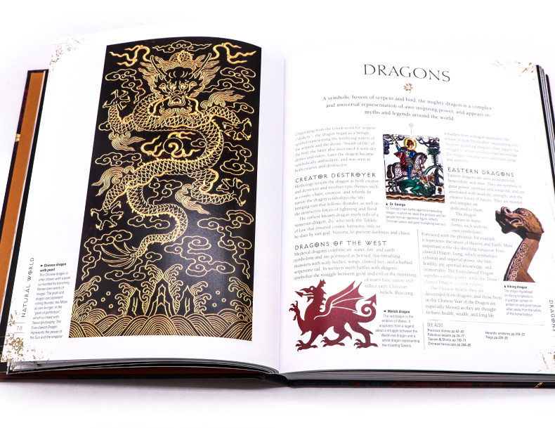 进口英文原版 DK百科全书 符号与象征 Signs and Symbols 人类宇宙神话传说宗教符号含义图解 秘密语言指南科普读物 全彩精装