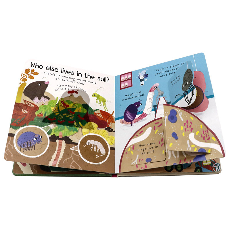 Usborne出品问与答翻翻书系列我为什么需要虫子 Why do we need worms? 英文原版绘本 幼儿童英语启蒙认知科普读物纸板书亲子阅读