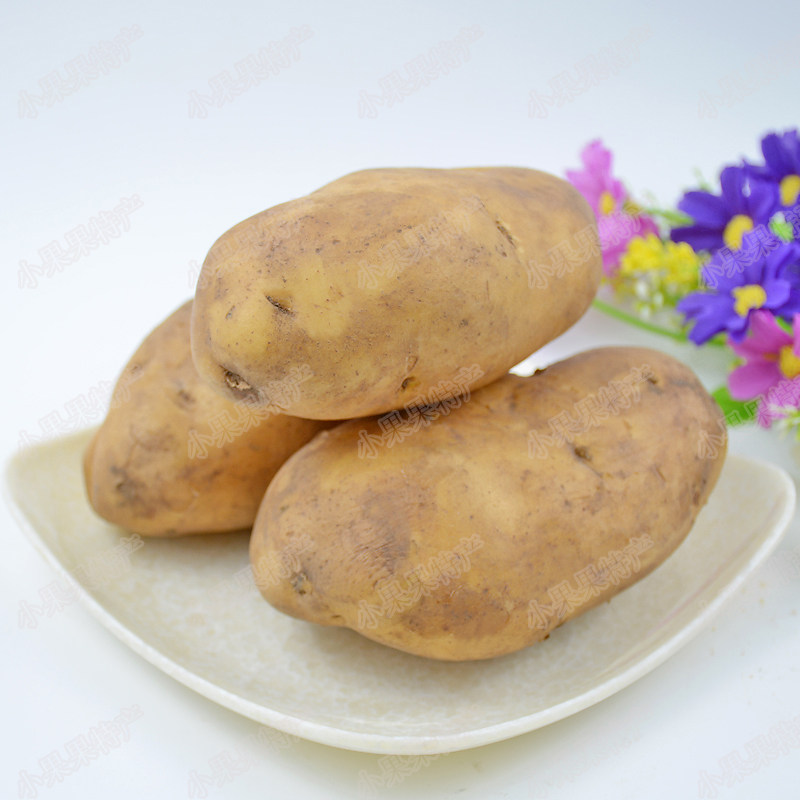 包邮贵州洋芋本地精选黄心土豆洋芋4斤装新鲜马铃薯土豆 农家自种