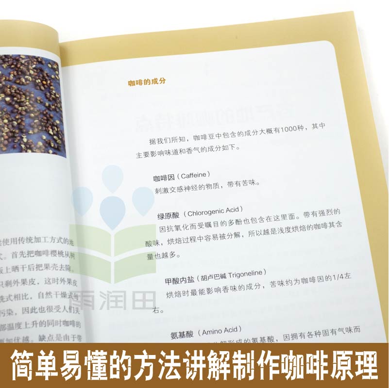 正版书籍 我的第一本咖啡书 咖啡书籍大全教程 入门咖啡手冲烘焙拉花知识书籍 手工手冲咖啡书  咖啡制作技术配方教程 你不懂咖啡 - 图2