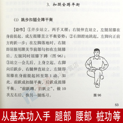 蔡云龙 武术运动基本训练 中国功夫武功秘籍擒拿格斗功能性训练书籍健身养生书体育运动书籍类似五禽戏咏春太极拳易筋基础入门训练 - 图0