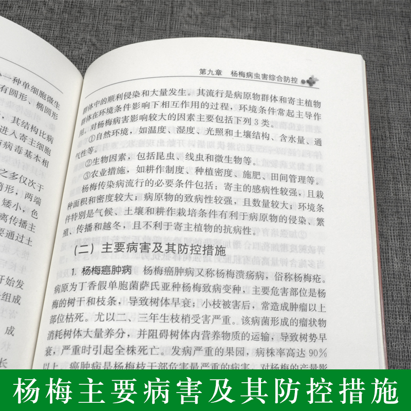 杨梅栽培实用技术杨梅高效栽培技术杨梅绿色种植技术大全书果树种植栽培技术书籍杨梅病虫害防治技术大全 养杨梅的书籍 - 图2