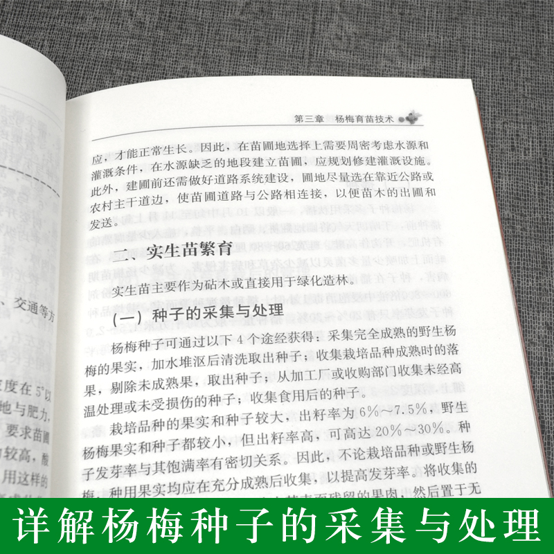 杨梅栽培实用技术杨梅高效栽培技术杨梅绿色种植技术大全书果树种植栽培技术书籍杨梅病虫害防治技术大全 养杨梅的书籍 - 图1