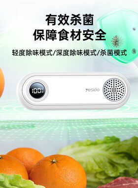 99%除杀菌冰箱除味剂器 臭氧除味剂盒消毒器冷藏室去异味 除味器