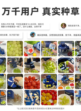 蒙得葡萄去皮机全自动奶茶水果烘焙家用商用果蔬水果剥皮机神器