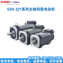 Wide-number servo spindle motor ZJY208A ZJY265A ZJY182ZJY ZJY182ZJY spindle servo motor