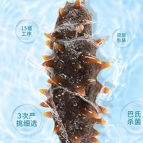 晓芹冷冻即食海参4斤大连海参2000g44-56只海参 大连海参500g特价 - 图0