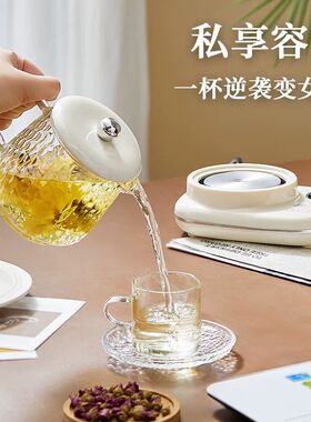 养生壶家用多功能全自动恒温烧水煮茶办公室小型一人养生壶花茶壶