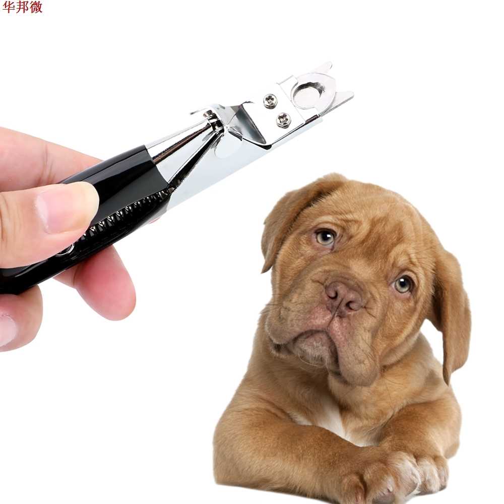 Claw Scissors Stainless Steel Pet Nail Clippers Cutter Trimm - 图1