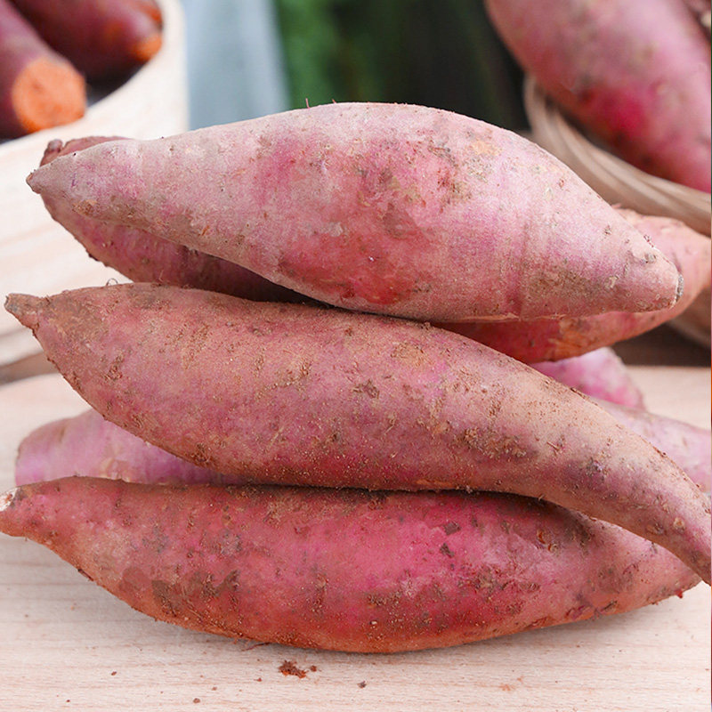 西瓜红蜜薯糖心新鲜10斤5板栗红薯 百泰源番薯