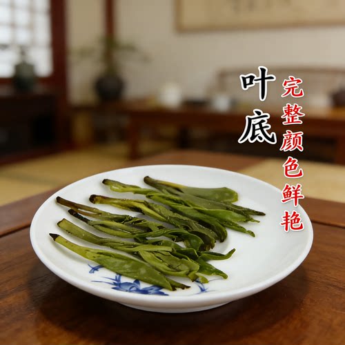2026正宗新茶叶海南特产五指山大叶白骨苦丁茶正品嫩芽非特级野生 - 图2