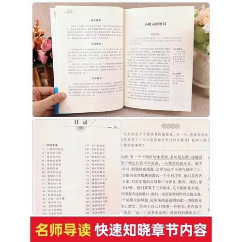 骑鹅旅行记尼尔斯骑鹅旅行记原著正版六年级下册必读的课外书老师推荐完整快乐读书吧人民教育出版社小学生书籍米威尼斯企鹅历险记