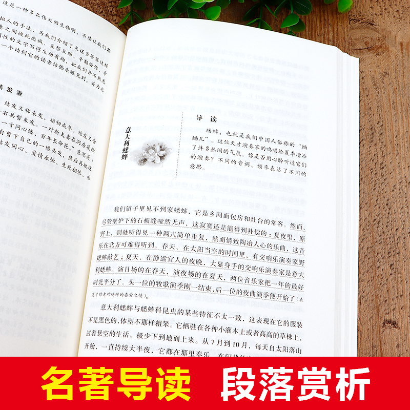 昆虫记和红星照耀中国正版原著完整版八年级上新译本初中生8课外必读书经典文学名著课外书初中语文教材配套阅读原著完整版无减删