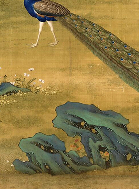 清郎世宁孔雀开屏图吉祥花鸟画卷