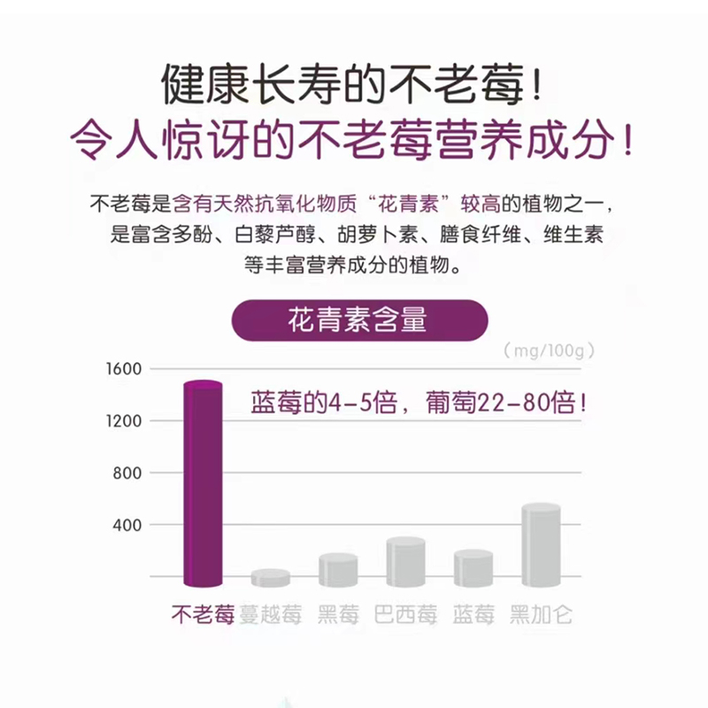 黑果花楸果鲜果野莓梅俄罗斯不老莓天然素泡酒专用药材水果干-图0